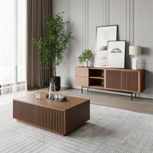 TL-TC0066-TV CONSOLE